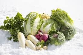 冬野菜